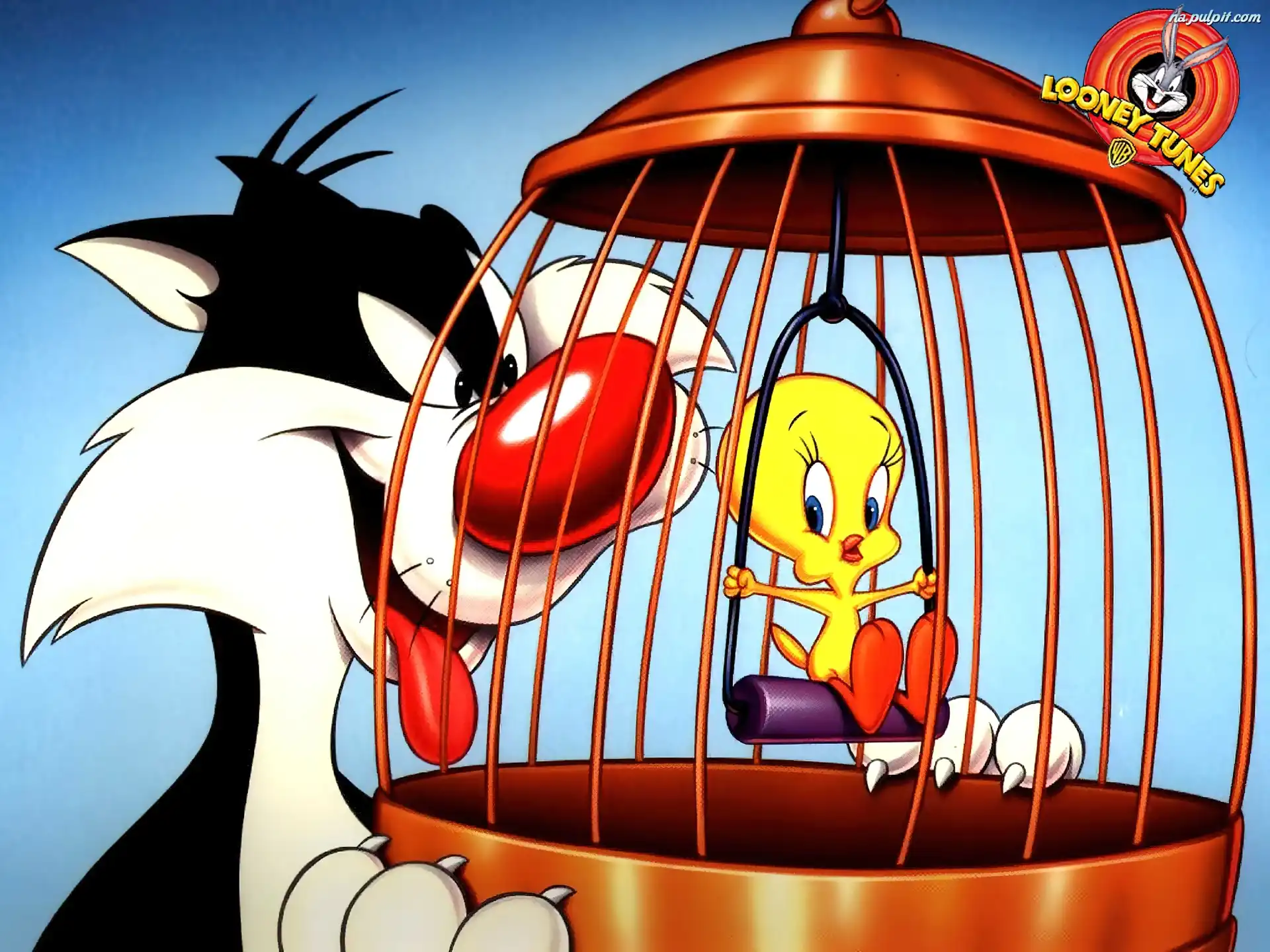 Tweety, Looney Tunes, Sylwester